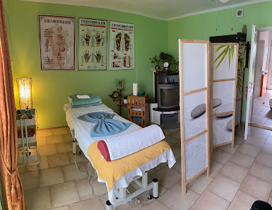 T.C.M. Traditionelle chinesische Massage Li Stöhr