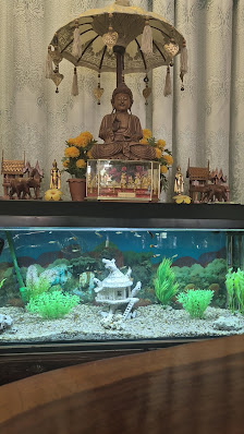TABANDU THAI MASSAGE