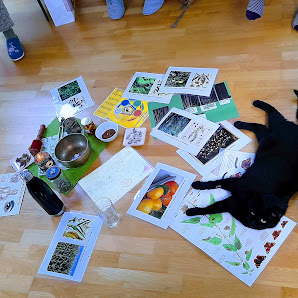 In meinem Element - Ilse Mislisch - TCM Therapeutin, Qi Gong Trainerin, Entspannungspädagogin