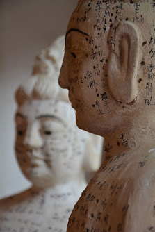 Praxis Dr. Qin Zhang - Traditionelle Chinesische Medizin und Akupunktur