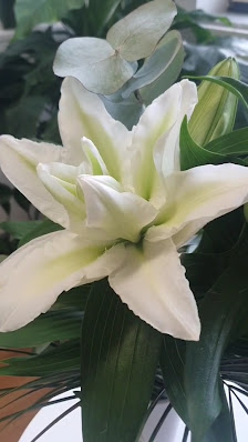 Elegance Thaimassage