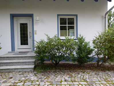 Praxis für TCM und Osteopathie