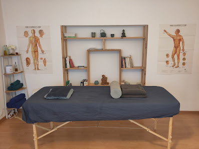 Naturheilpraxis für TCM Vivienne Strasser