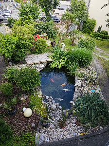 Feng Luo / TCM Coaching und Behandlung