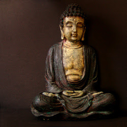 Feng Luo / TCM Coaching und Behandlung