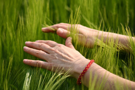 Feng Luo / TCM Coaching und Behandlung