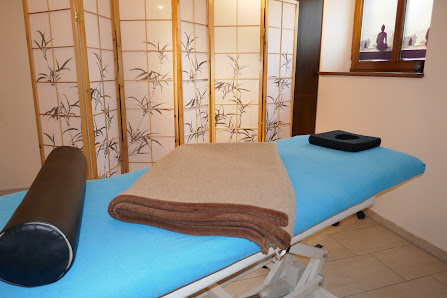 Praxis für klassische Chinesische Medizin