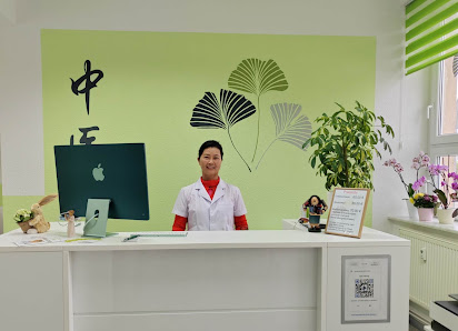 Zentrum für Traditionelle Chinesische Medizin. Praxis und Kurse