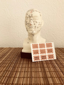 Tcm/Akupunktur Praxis Venka Schaudt
