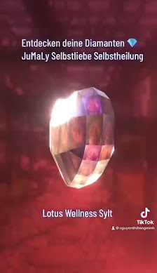 Lotus Wellness VinaMasage