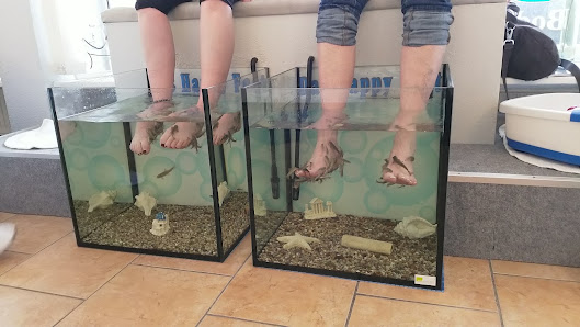 RF beauty&wellness by Das Happy Feet - Gesundheits & Wellness Massagen, Fußpflege Fish Spa und Kosmetik