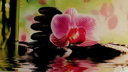 Wellnesstherapie Diana Mahler